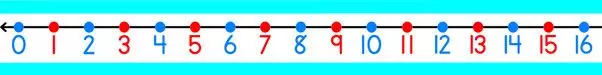 Number Lines