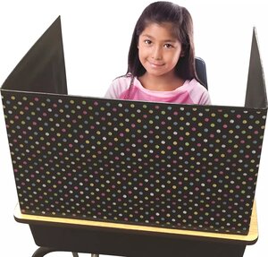 Classroom Privacy Screen