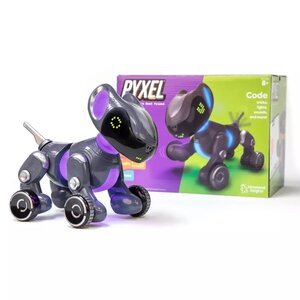 Pyxel the Coding Pet