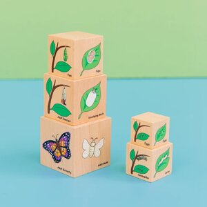 Lifecycle Wooden Blocks